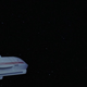 Illustration for article titled The endless iStar Trek/i franchise ages in reverse